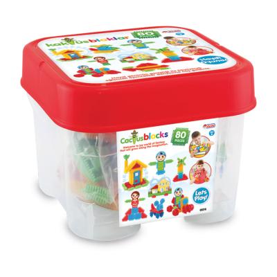 Kaktüs Blok Kova (80 Parça) 3+ Yaş