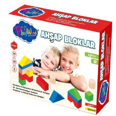 Play Wood Eğitici Ahşap Oyuncak Ahşap Bloklar 29 Parça 36+ Ay