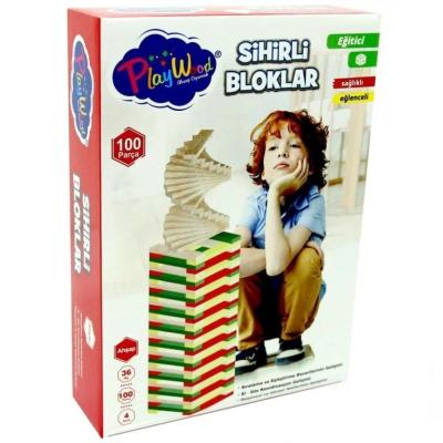 Playwood Eğitici Sihirli Bloklar 100 Parça 36+ Ay
